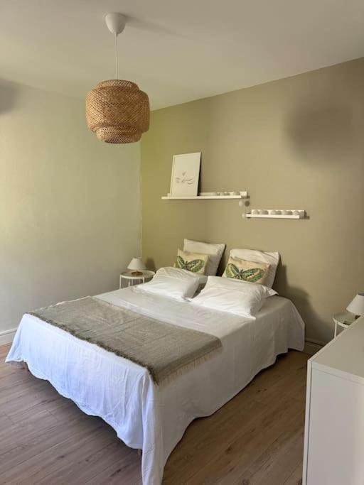 Le Marceau - Maison Climatisee Avec Jardin Carcassonne Eksteriør billede